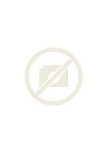 长生之术--金字塔之谜系列